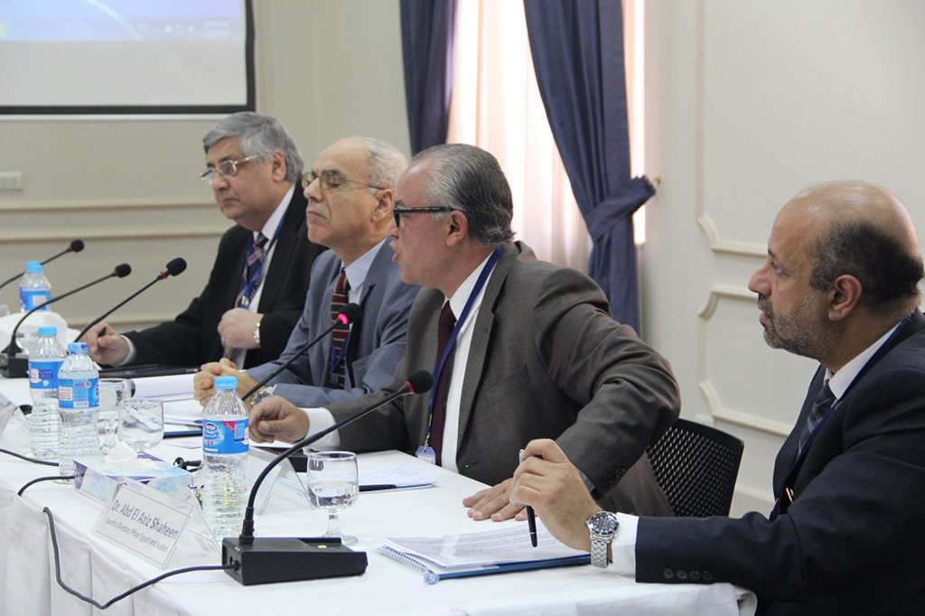 Governance in UHC – Cairo, Egypt
