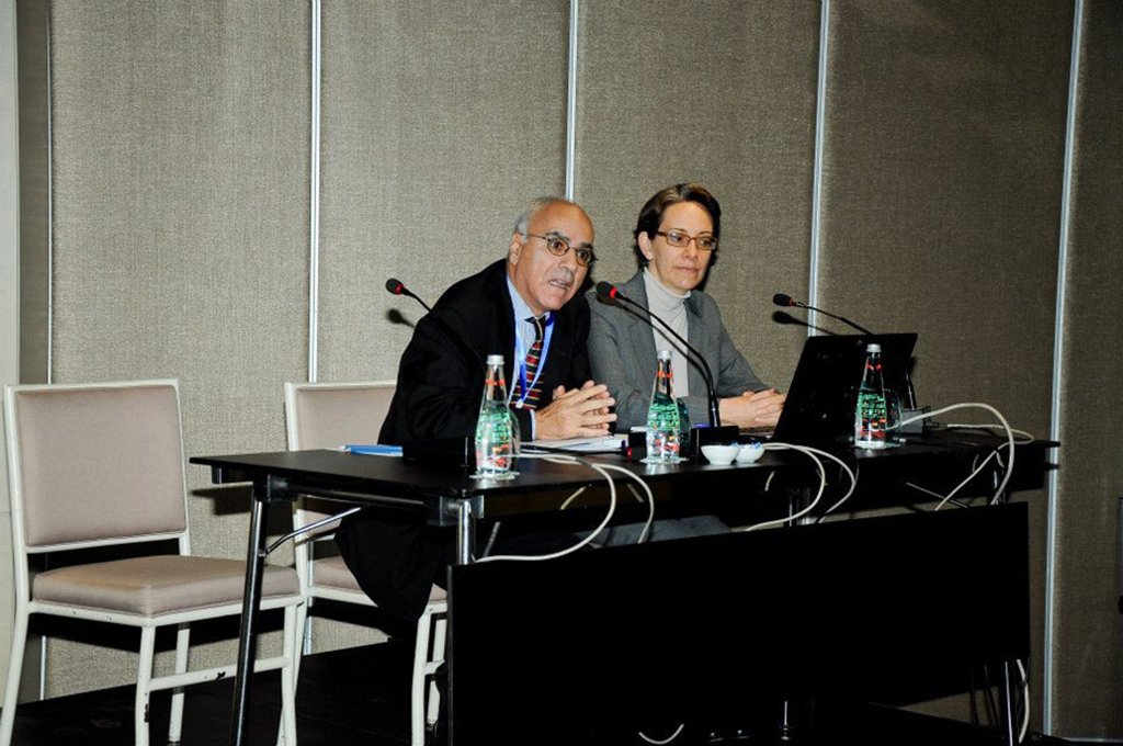 MENA HPF Annual Regional Meeting – Istanbul, Turkey | November 23–24, 2013