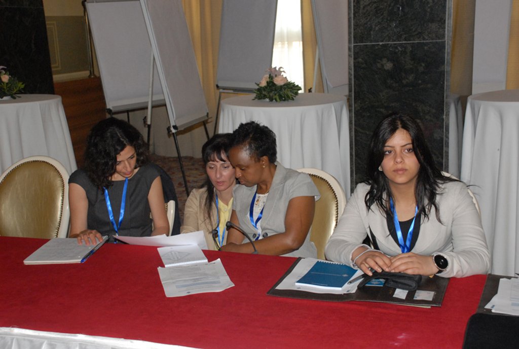 MENA HPF Regional Meeting – Tunis, Tunisia | June 8–9, 2012